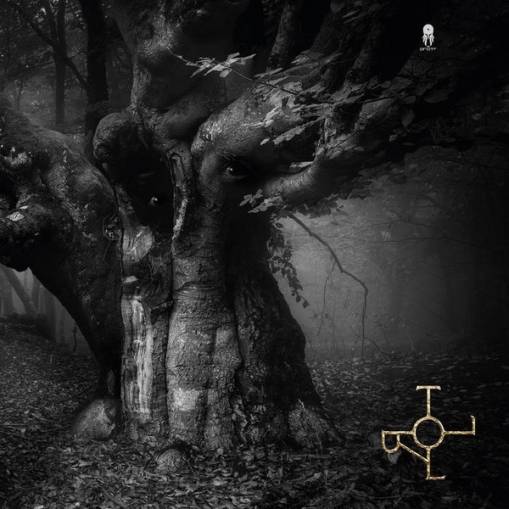 Okładka Drott - Troll LP