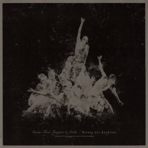 Okładka Deha & Gnaw Their Tongues - Rituel Des Ancetres LP