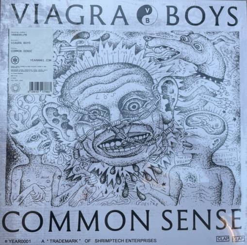 Okładka Viagra Boys - Common Sense LP