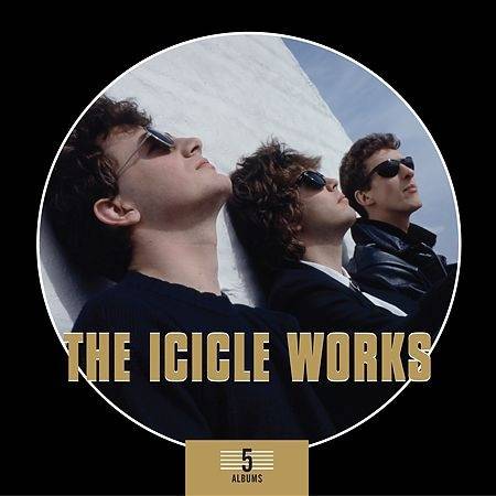 Okładka ICICLE WORKS, THE - 5 Albums Box Set