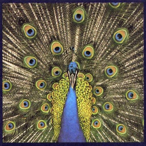 Okładka The Bluetones - Expecting To Fly [EX]