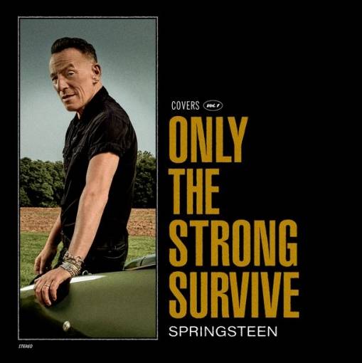 Okładka Bruce Springsteen - Only the Strong Survive