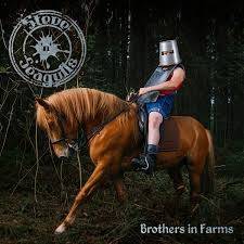 Okładka Steve N Seagulls - Brothers In Farms