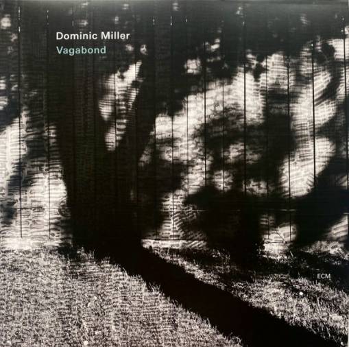 Okładka MILLER, DOMINIC - VAGABOND (LP)