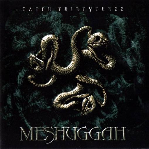 Okładka Meshuggah - Catch 33