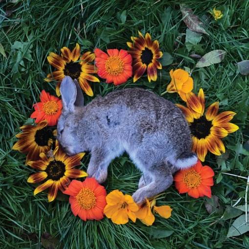 Okładka Monolord - Your Time To Shine