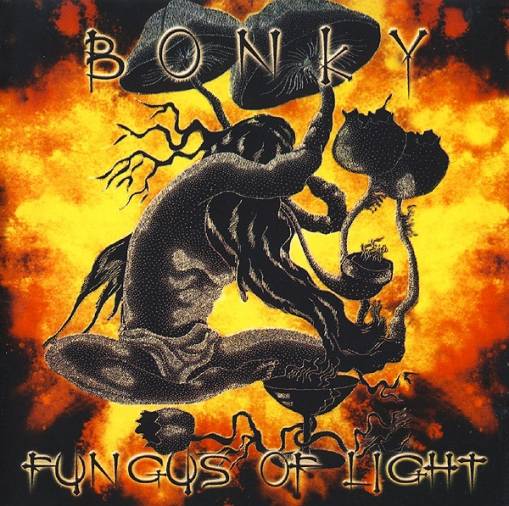 Okładka Bonky - Bonky & Fungus Of Light [VG]