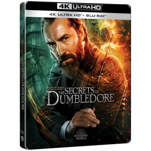 Okładka David Yates - FANTASTYCZNE ZWIERZĘTA: TAJEMNICE DUMBLEDORE'A (2BD 4K) STEELBOOK