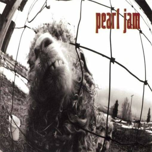 Okładka Pearl Jam - Vs.