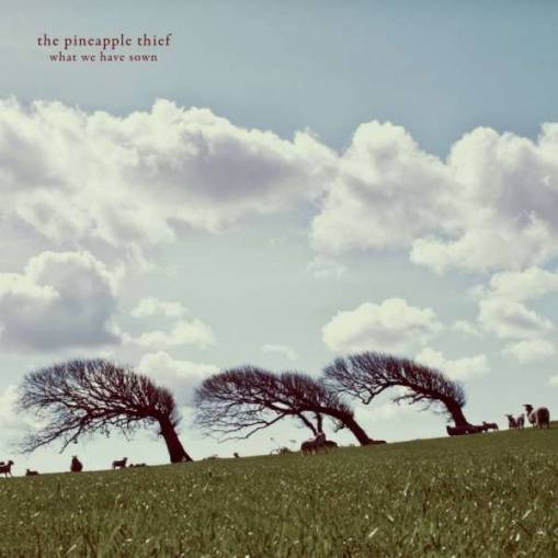 Okładka Pineapple Thief, The - What We Have Sown LP