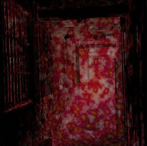 Okładka Elimi - Asylum