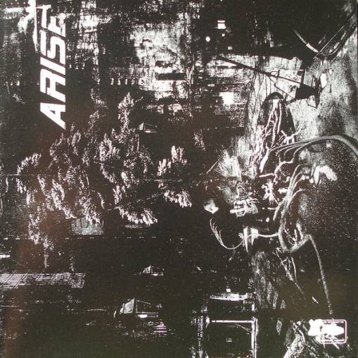 Okładka Arise - The Beautiful New World