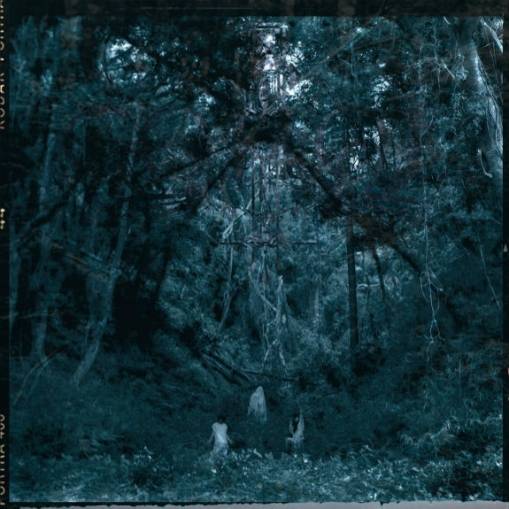 Okładka Cohol - Rigen