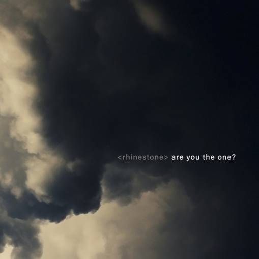 Okładka Liquid Newt & Frank M Spinath - Walk With Scars