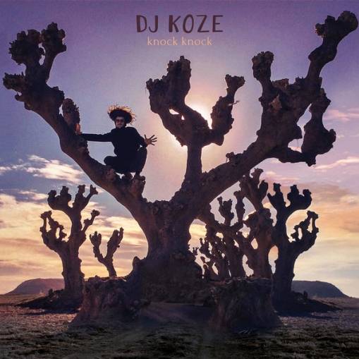 Okładka DJ Koze - Knock Knock LP