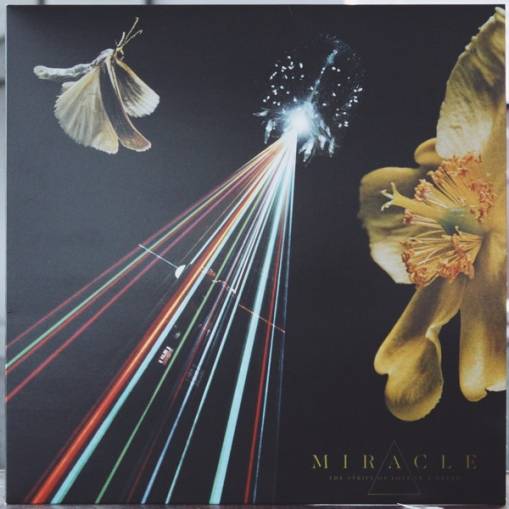 Okładka Miracle - The Strife Of Love In A Dream LP
