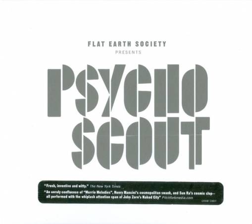 Okładka Flat Earth Society - Psycho Scout