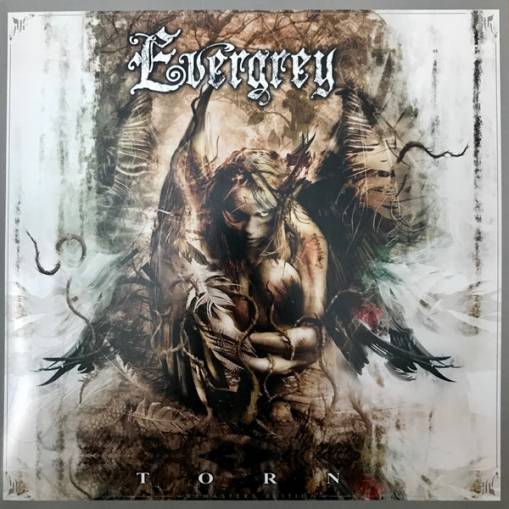 Okładka Evergrey - Torn White LP