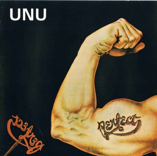 Okładka Perfect - UNU (Wydanie 2003 A.A.MTJ) [EX]