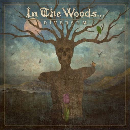 Okładka In The Woods - Diversum
