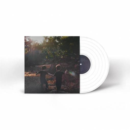 Blood Harmony WHITE LP