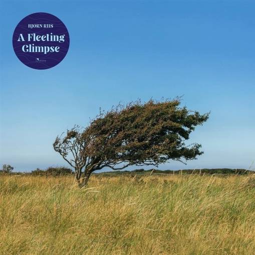 Okładka Bjorn Riis - A Fleeting Glimpse LP BLUE