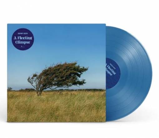 A Fleeting Glimpse LP BLUE