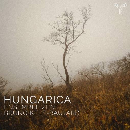 Okładka Ensemble Zene Kele-Baujard - Hungarica Kodaly Bartok Ligeti