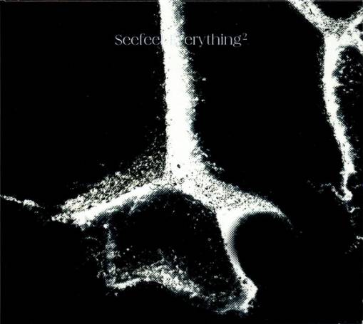 Okładka SEEFEEL - Everything Squared